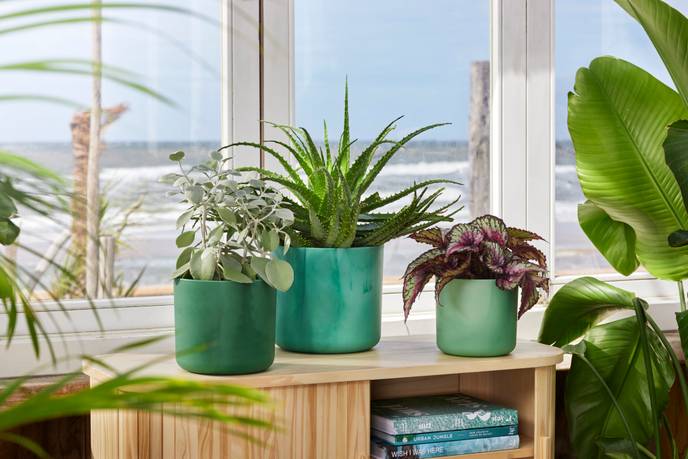 the ocean collection round 18cm pacific green